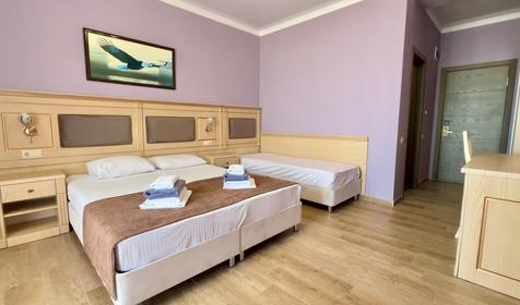 Трехместный