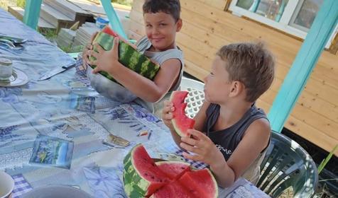 Эко-хуторок Сова