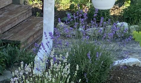 Эко-хуторок Сова