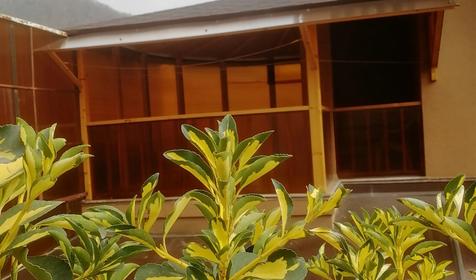 Стандарт трехместный с террасой