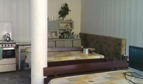 Под пальмой