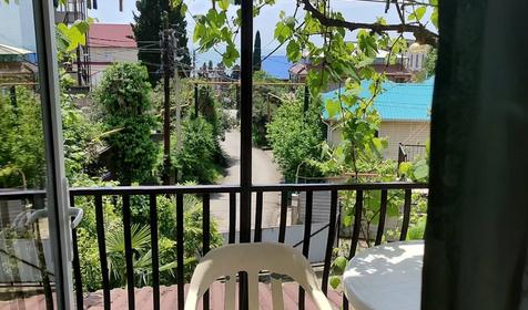 Под пальмой