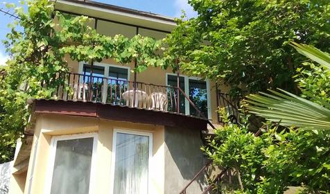 Под пальмой