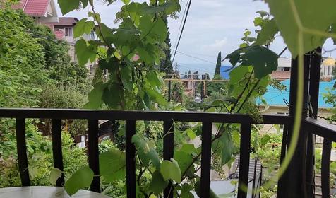 Под пальмой