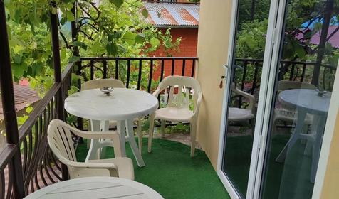 Под пальмой