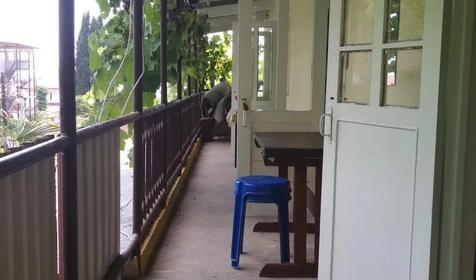 Под пальмой