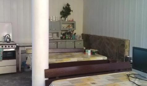 Под пальмой