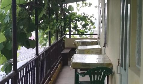 Под пальмой