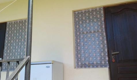 Под пальмой