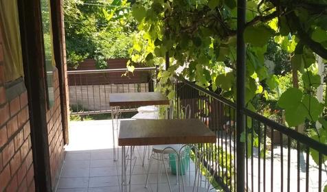 Под пальмой