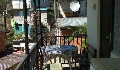 Под пальмой