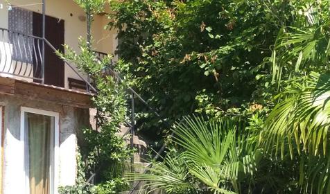 Под пальмой