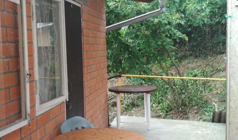 Под пальмой