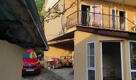 Под пальмой