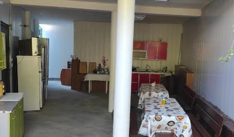 Под пальмой