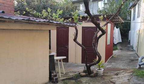 Под пальмой