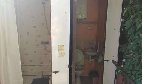 Под пальмой