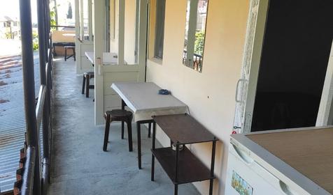 Под пальмой