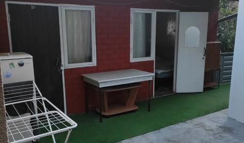 Под пальмой