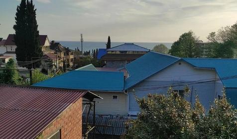 Под пальмой