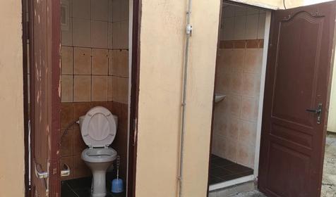 Под пальмой