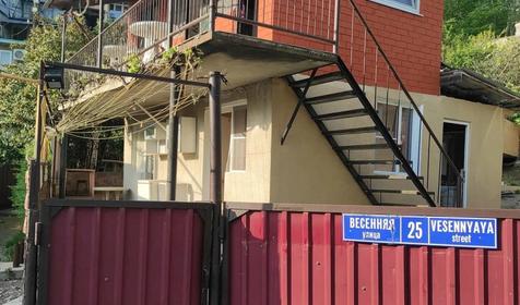 Под пальмой