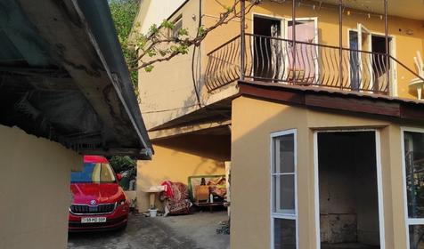 Под пальмой