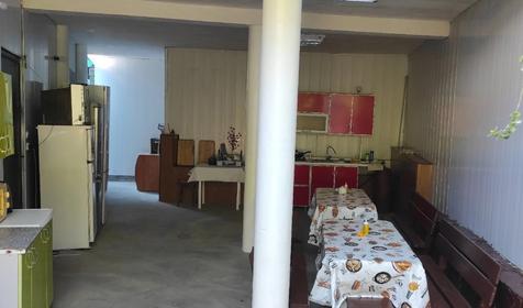 Под пальмой