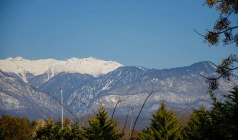 Deluxe Apartment Бульвар Надежд 4/1