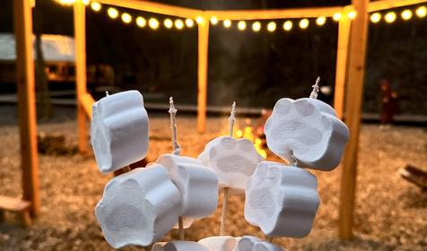 Белый кролик