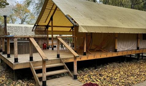 Белый кролик