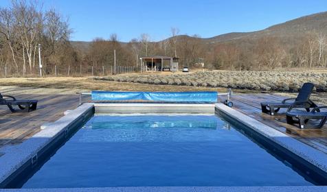 Белый кролик