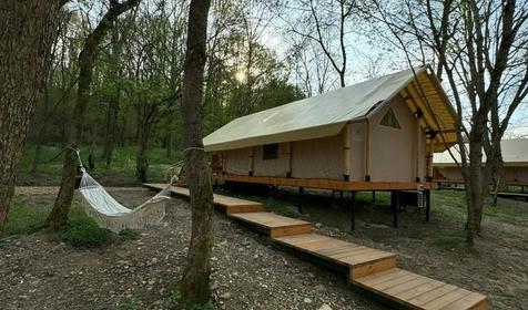 Белый кролик