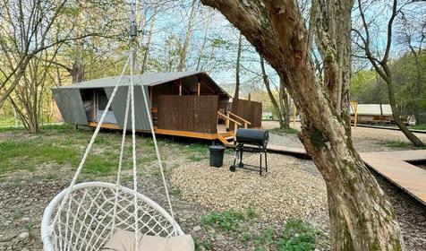 Белый кролик