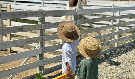 Белый кролик