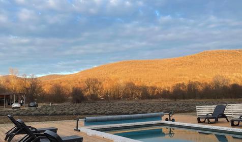 Белый кролик