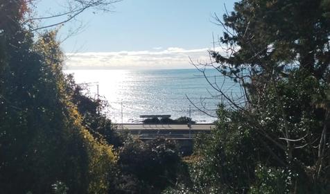 Anchor Villa (Анкор Вилла)