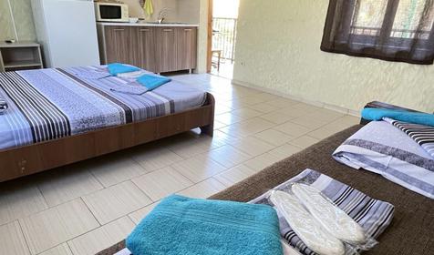 Студия четырехместная с собственной кухней