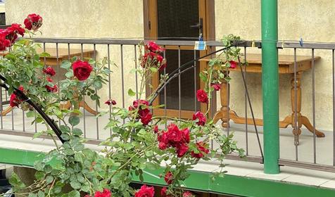 Стандарт трехместный