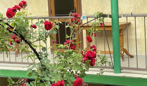 Стандарт 3-х местный