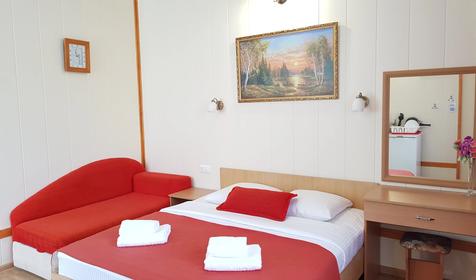 Стандарт 2хместный с общим балконом с видом во двор (№301, №309)