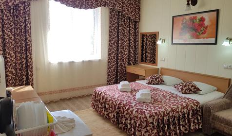 Стандарт двухместный с общим балконом с видом на бассейны, Корпус 2 (№202, №208)