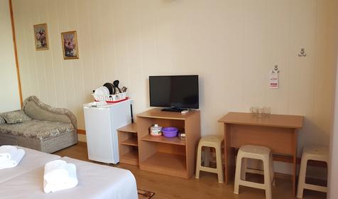 Стандарт двухместный с общим балконом с видом на бассейны, Корпус 2 (206, №210)