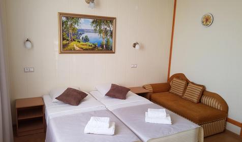 Стандарт двухместный с общим балконом с видом на бассейны, Корпус 2 (206, №210)