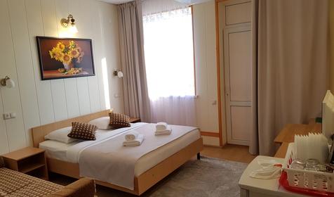 Стандарт четырехместный с общим балконом с видом на бассейны, Корпус 2 (№204)