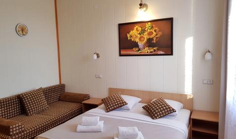 Стандарт четырехместный с общим балконом с видом на бассейны, Корпус 2 (№204)