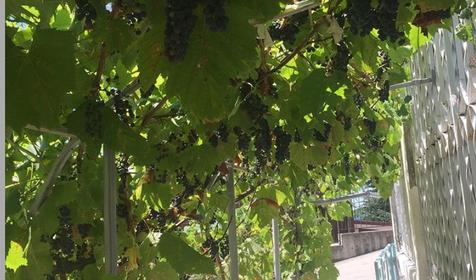 Горный простор