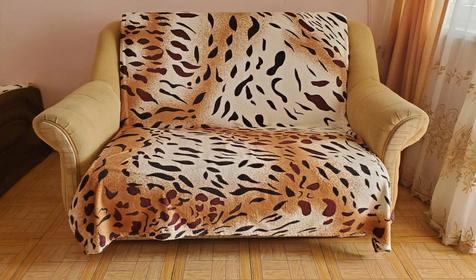 Четырехместный с видом на горы