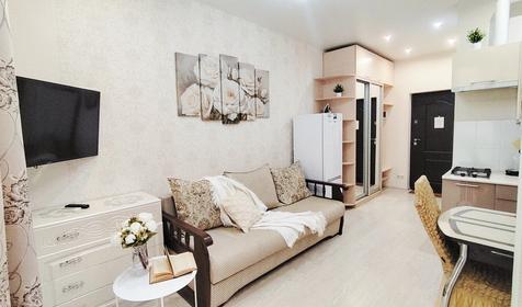 Deluxe Apartment на Тростниковой