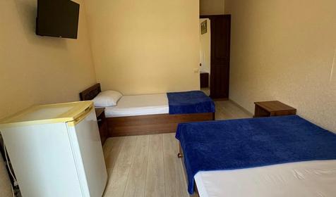 Трехместный стандарт с видом на сад